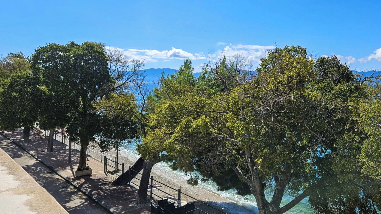 Photo of Others in Gradac