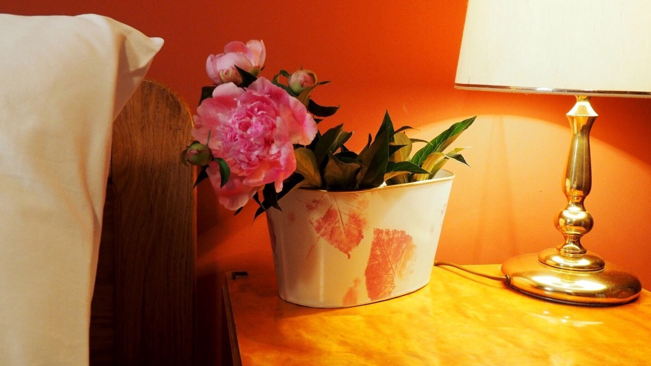 Photo of Livingroom in Municipality of Plaski
