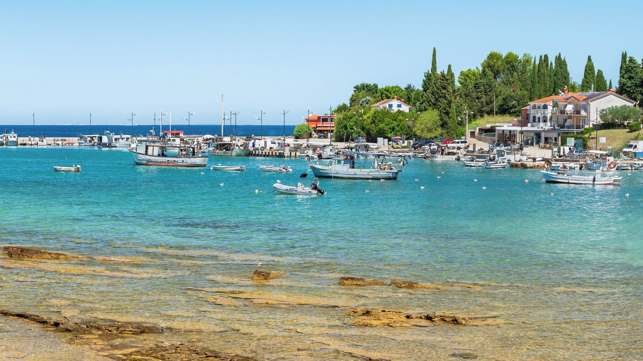 Photo of Others in Finida