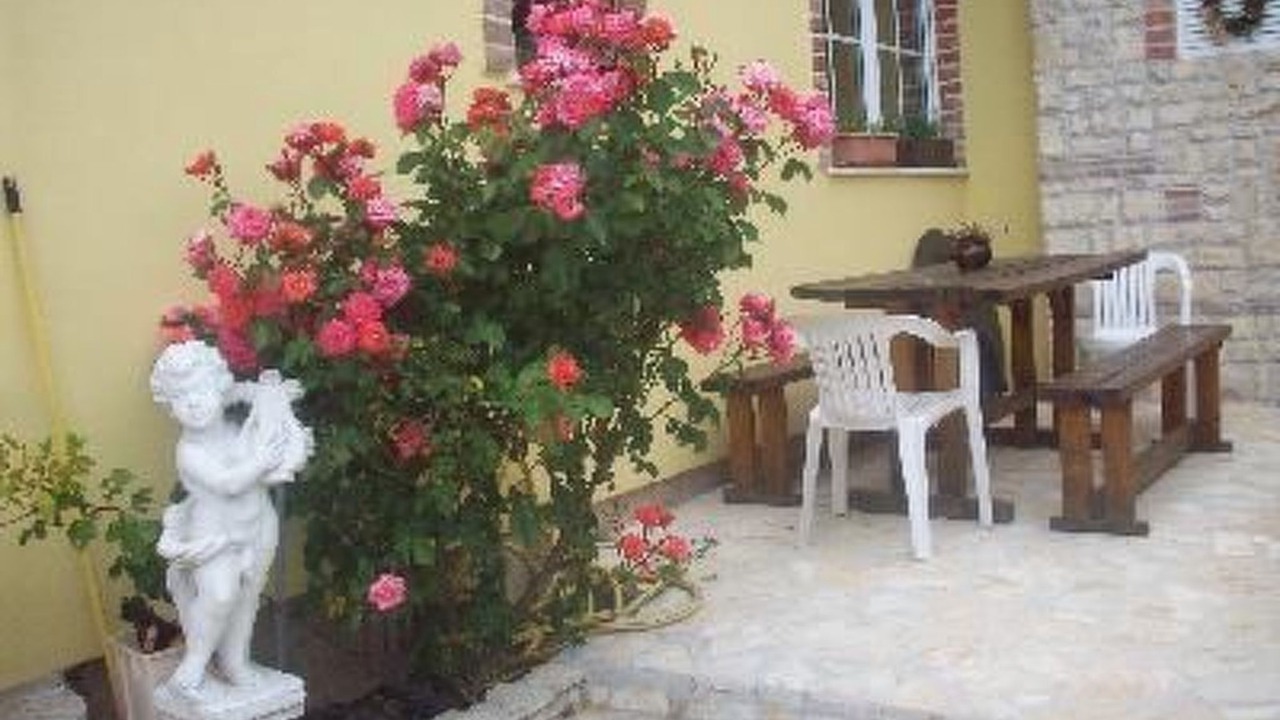 Photo of Others in Nova Vas