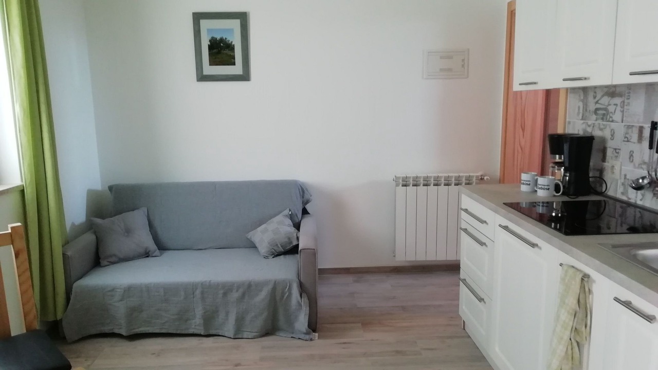 Photo of Livingroom in Nova Vas