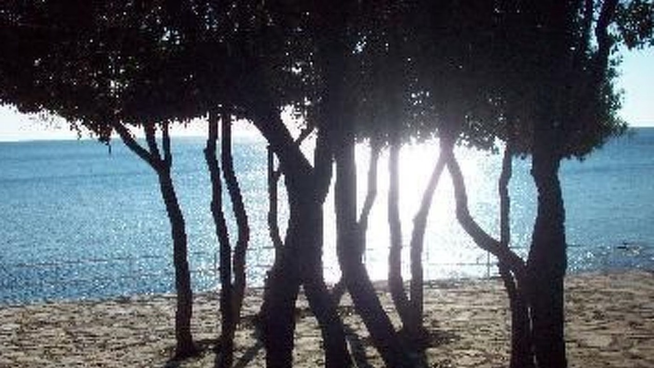 Photo of Others in Nova Vas