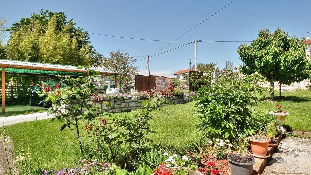 Photo of Outdoor in Zambratija
