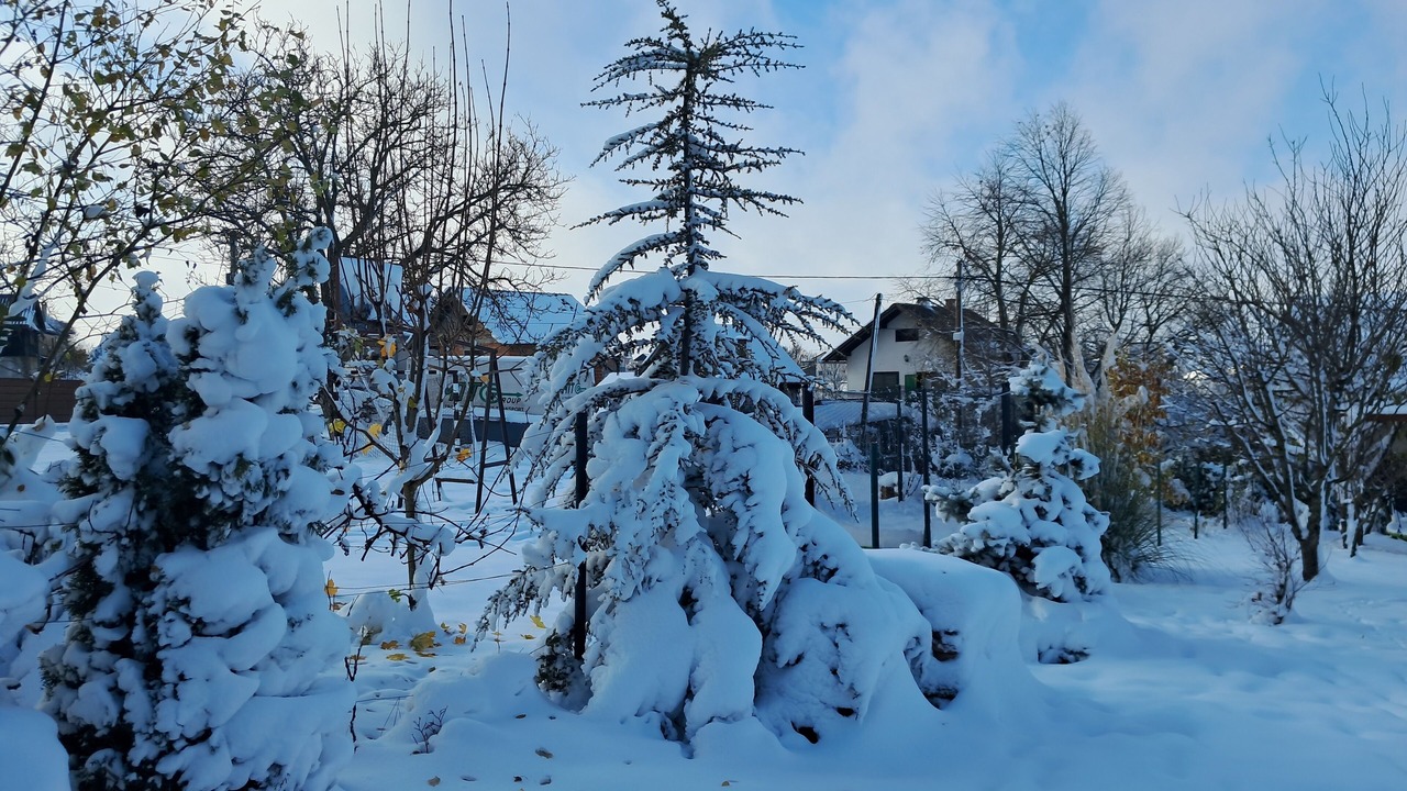 Photo of Outdoor in Klostar Ivanic