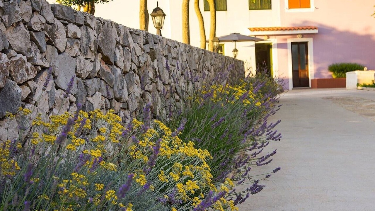 Photo of Outdoor in Veli Losinj