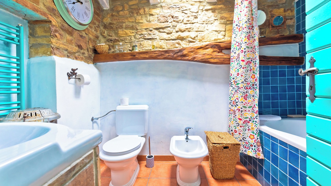 Photo of Bathroom in Golubici