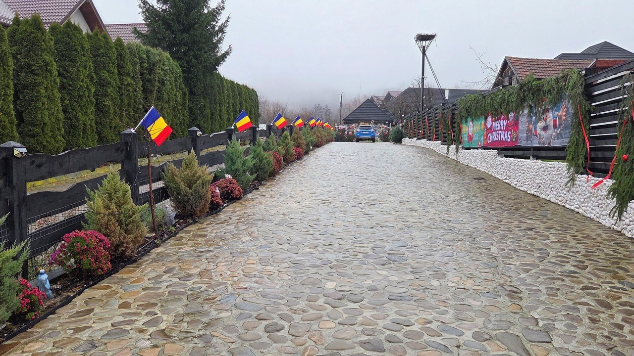 Photo of Outdoor in Bran