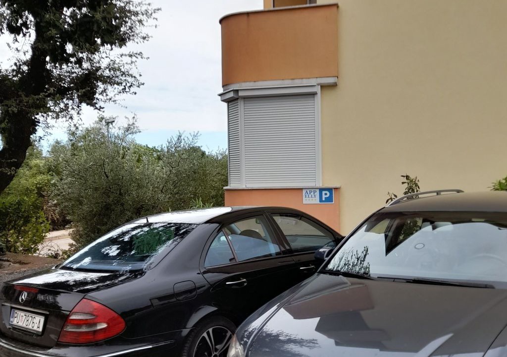 Photo of Others in Fiorini