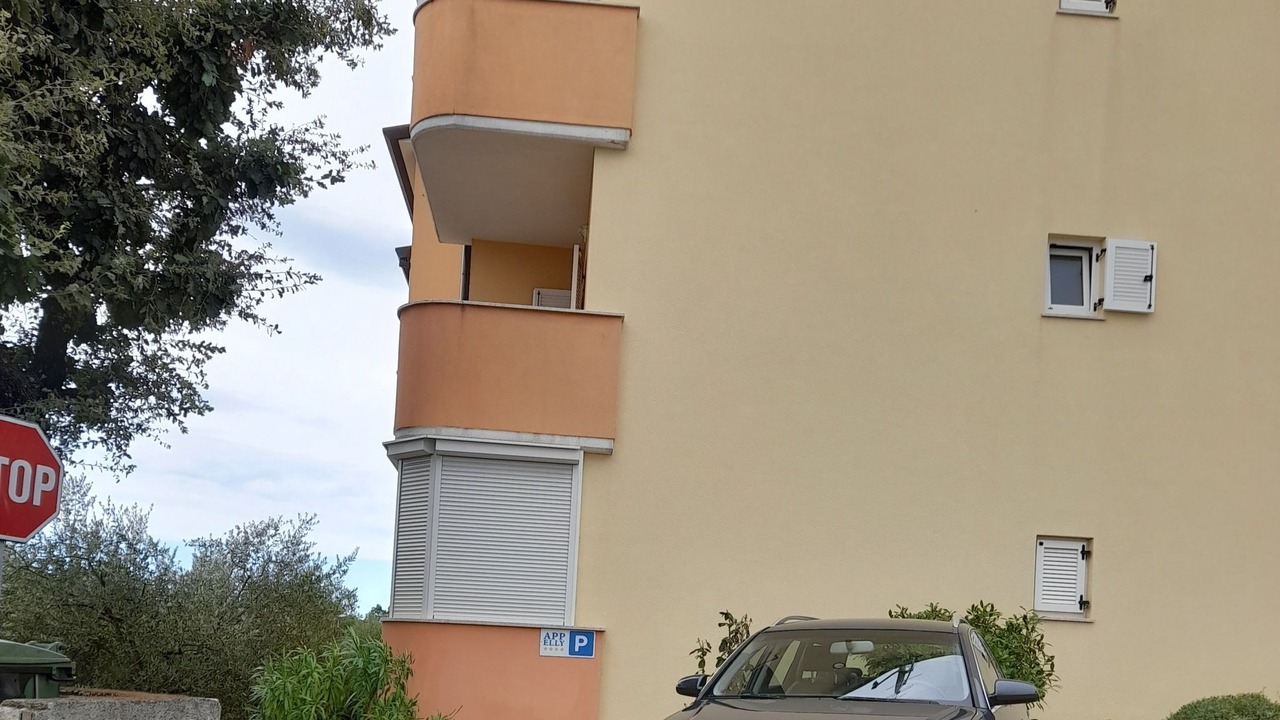 Photo of Others in Fiorini
