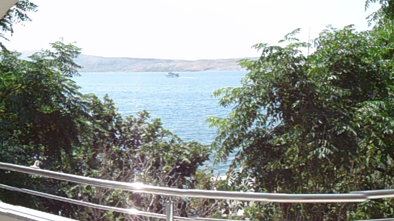 Photo of Others in Vidalici