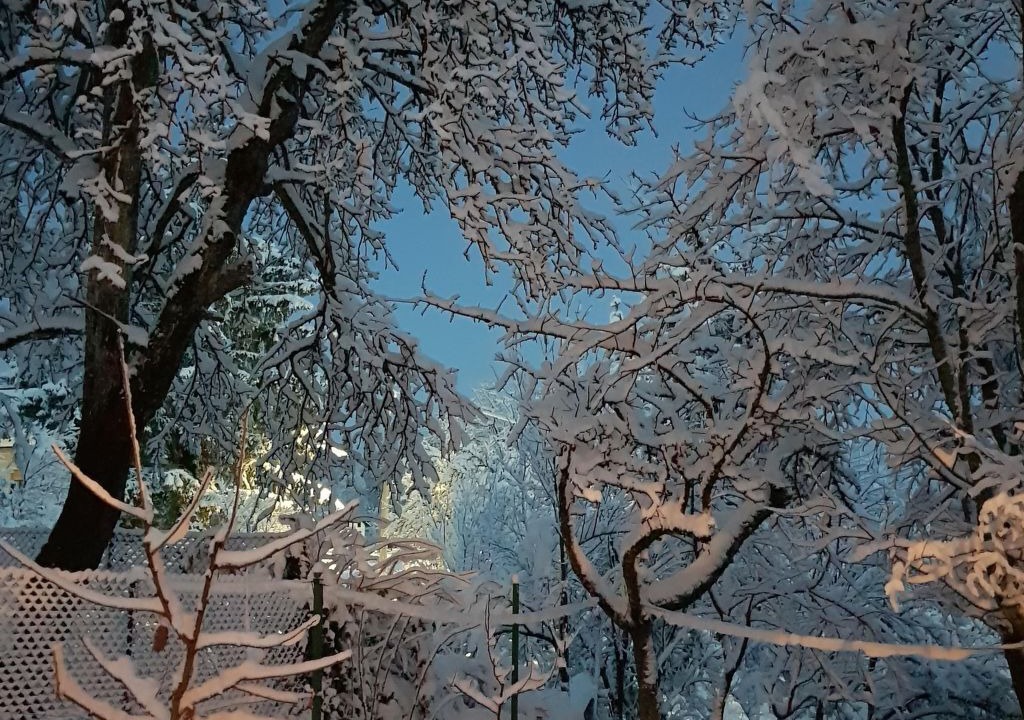 Photo of Others in Brod Moravice