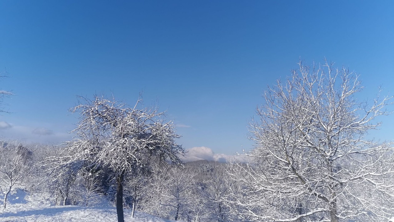 Photo of Others in Brod Moravice