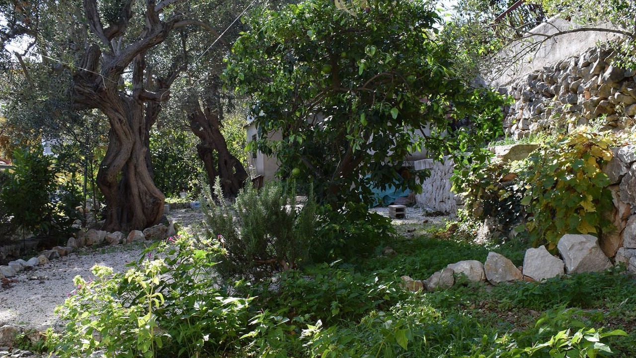 Photo of Others in Businci