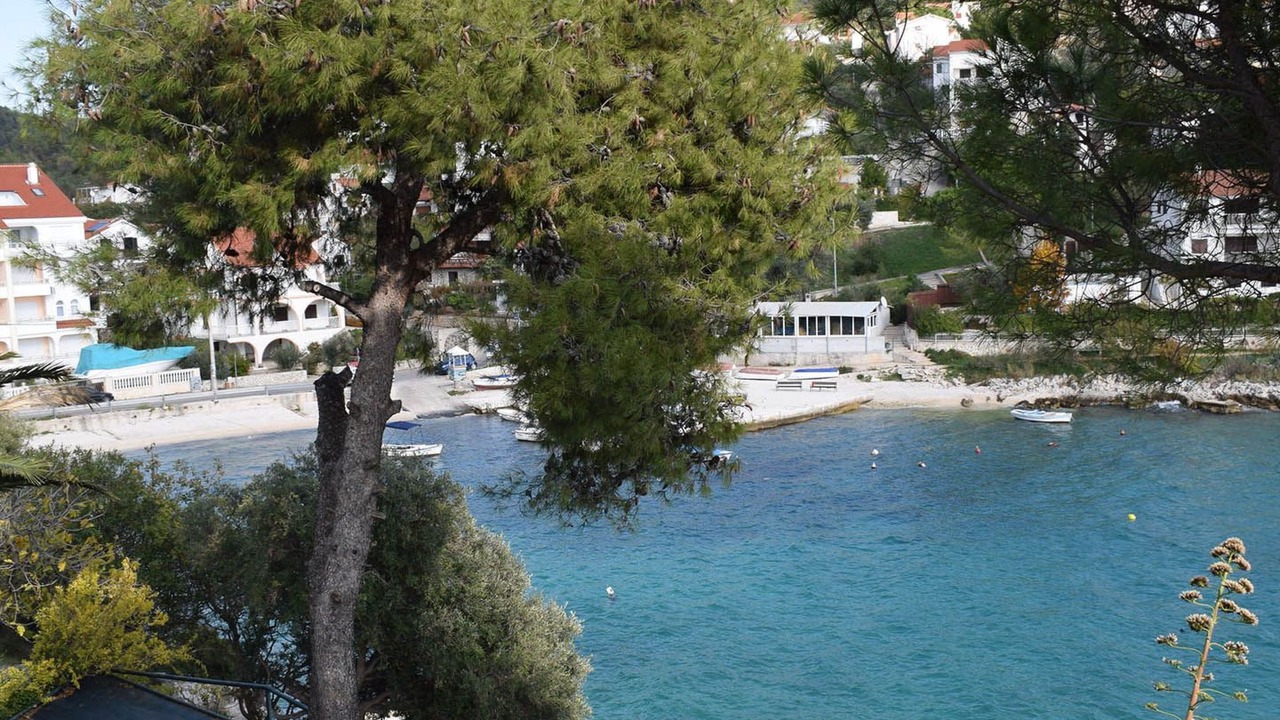 Photo of Others in Businci