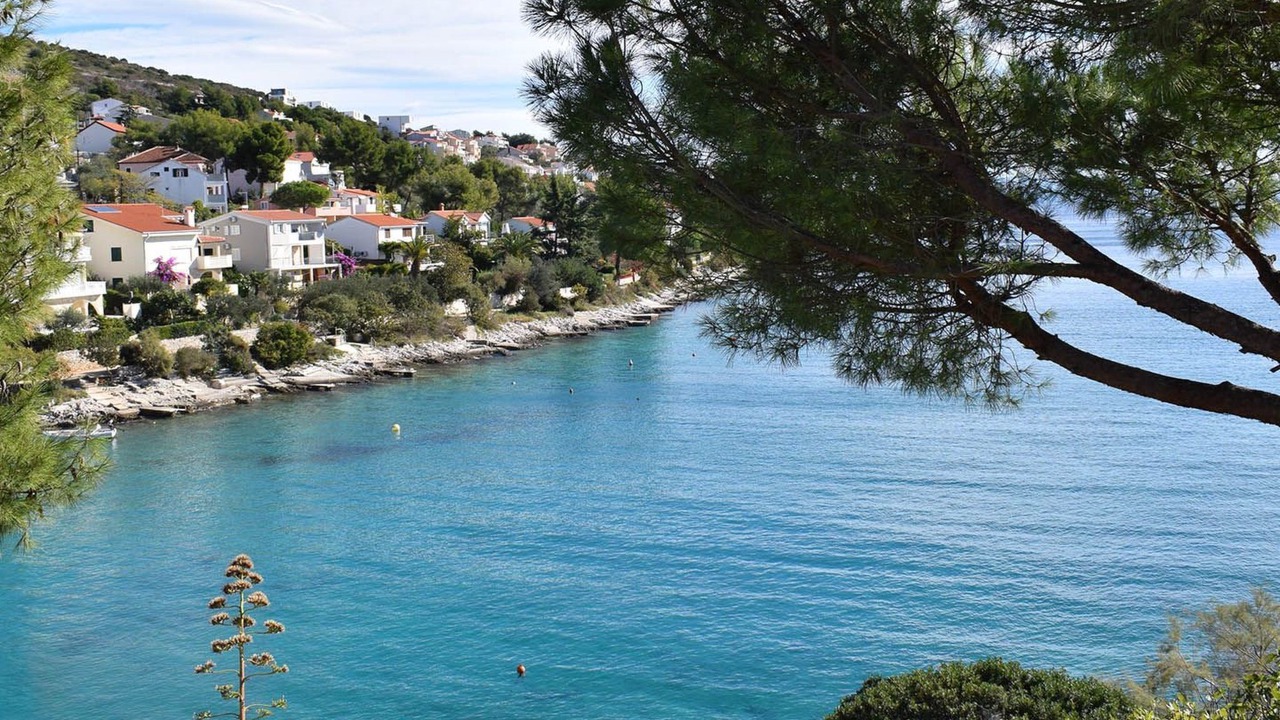 Photo of Others in Businci