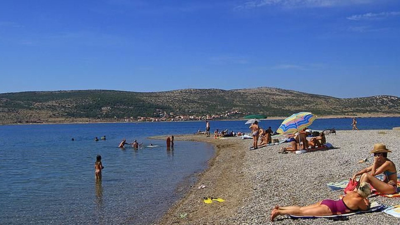 Photo of Others in Seline