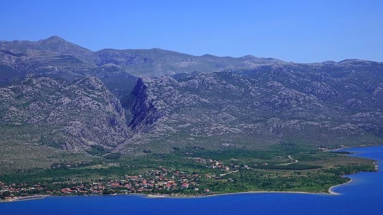 Photo of Others in Seline