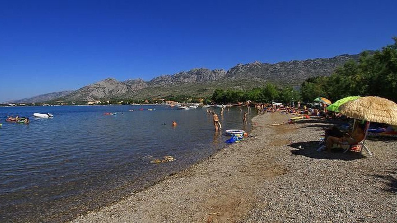 Photo of Others in Seline