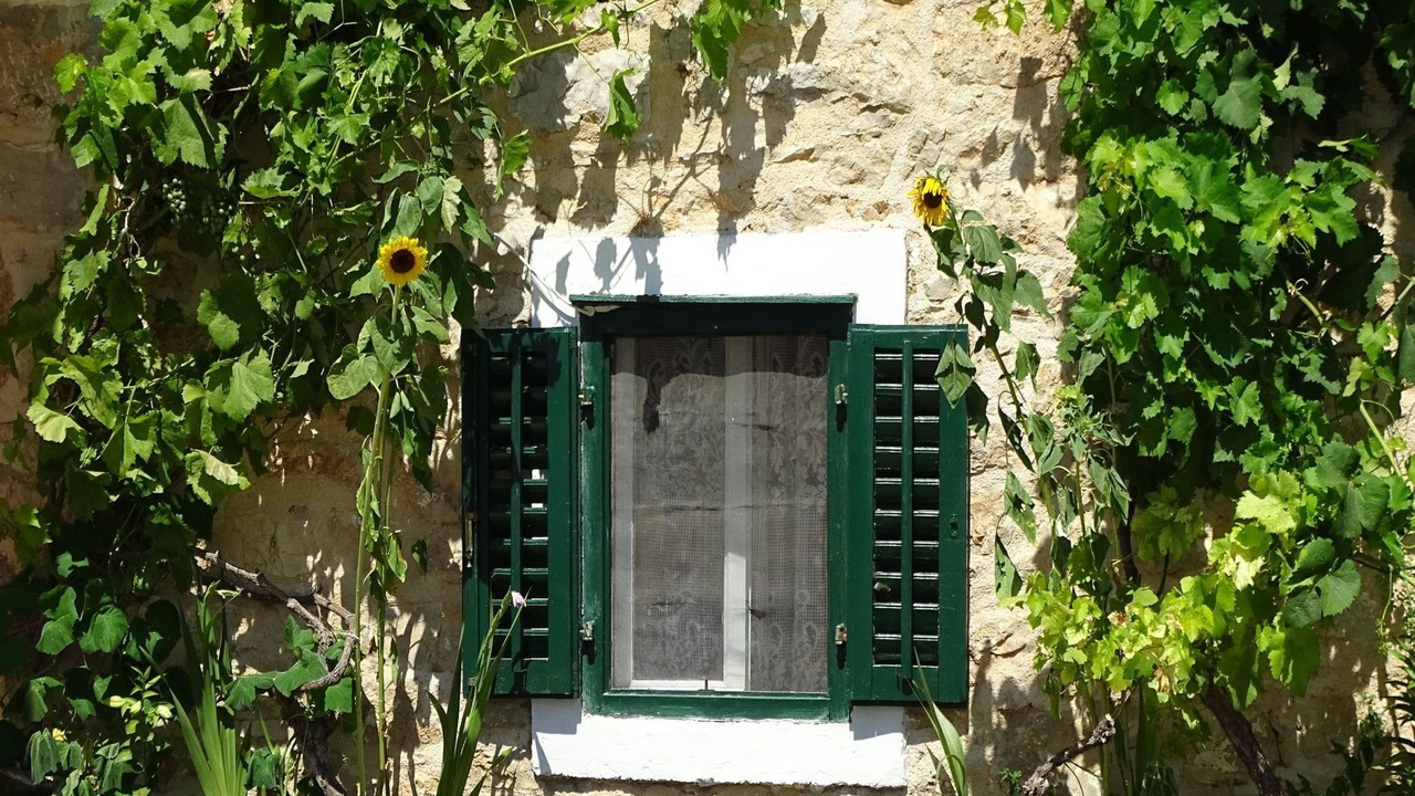 Photo of Outdoor in Bila Vlaka