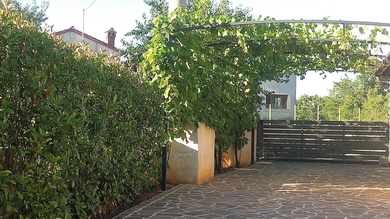 Photo of Others in Kosinozici