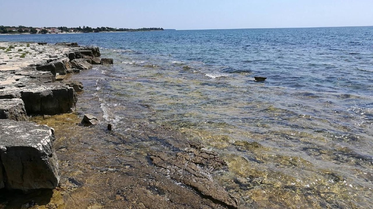 Photo of Others in Đuba