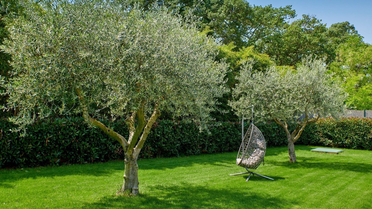 Photo of Outdoor in Fuskulin
