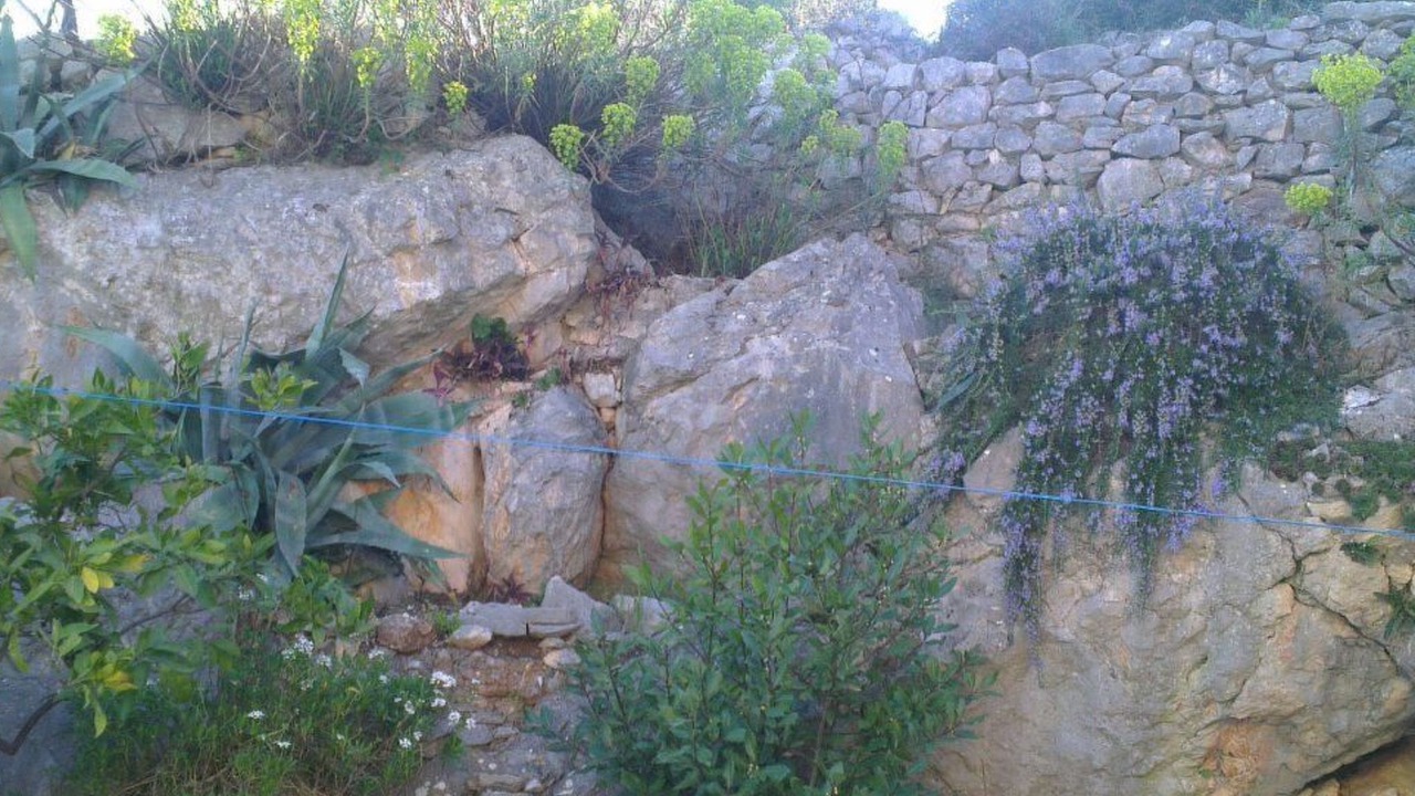 Photo of Others in Bobovisca