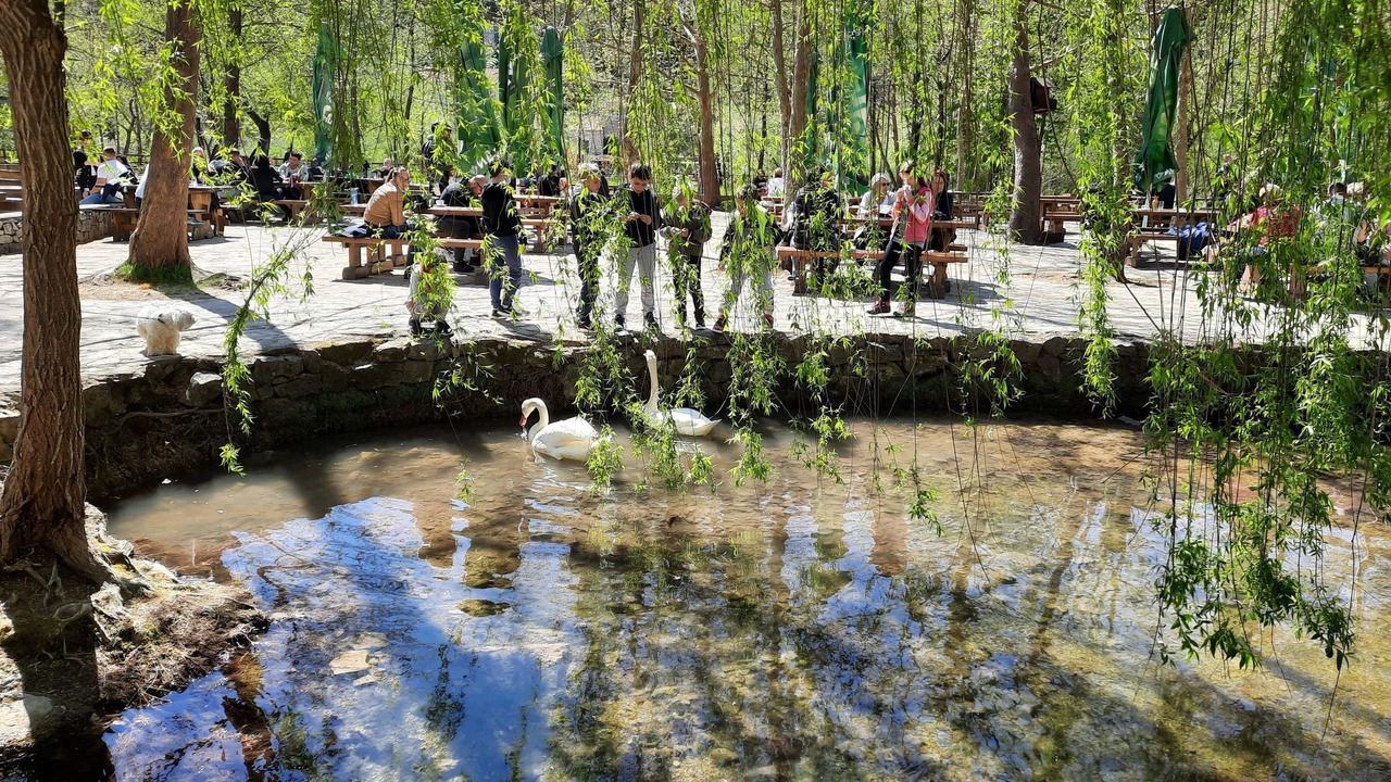 Photo of Others in Jadrija