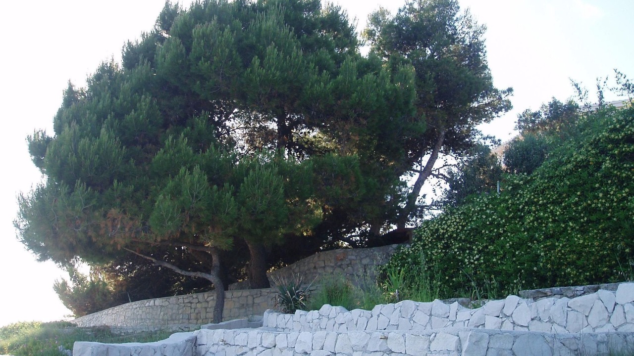 Photo of Others in Businci
