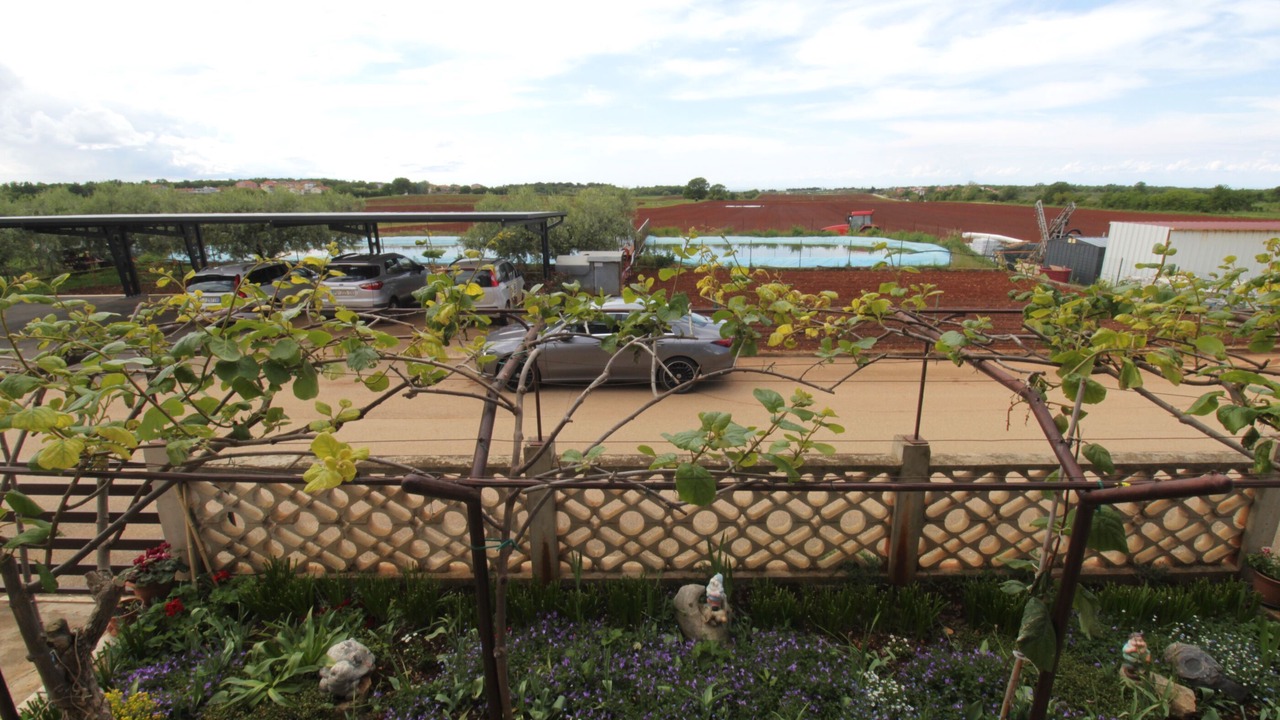Photo of Outdoor in Seget