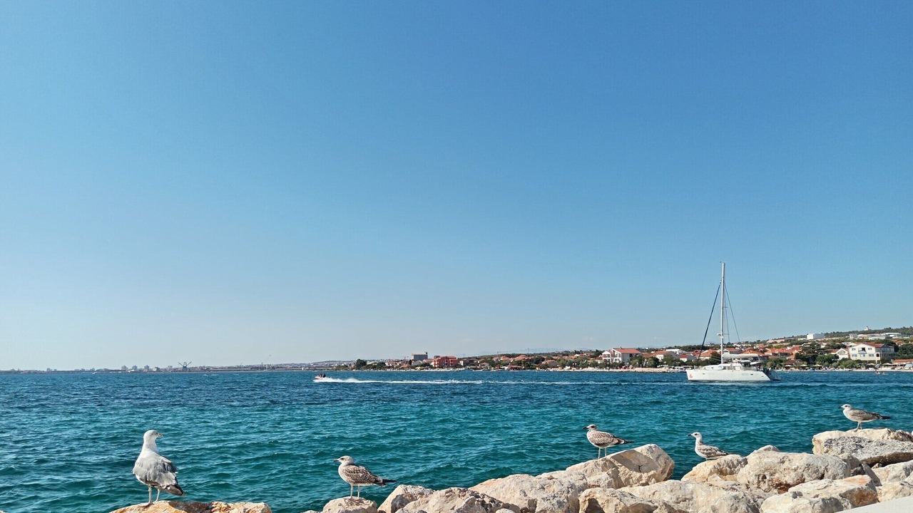 Photo of Others in Bibinje