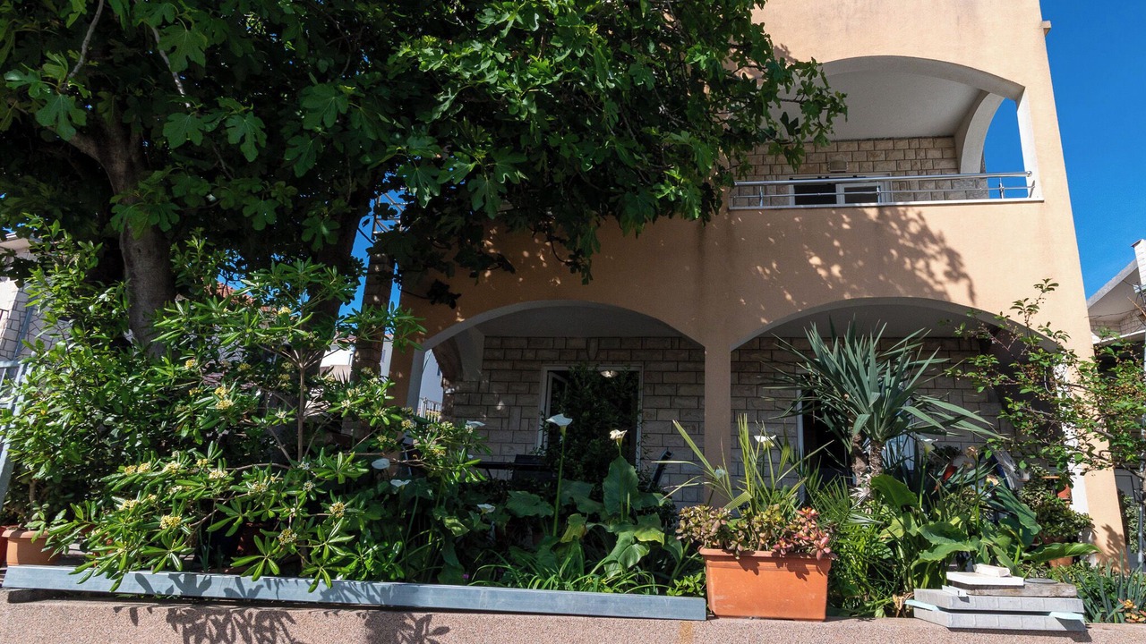 Photo of Outdoor in Businci