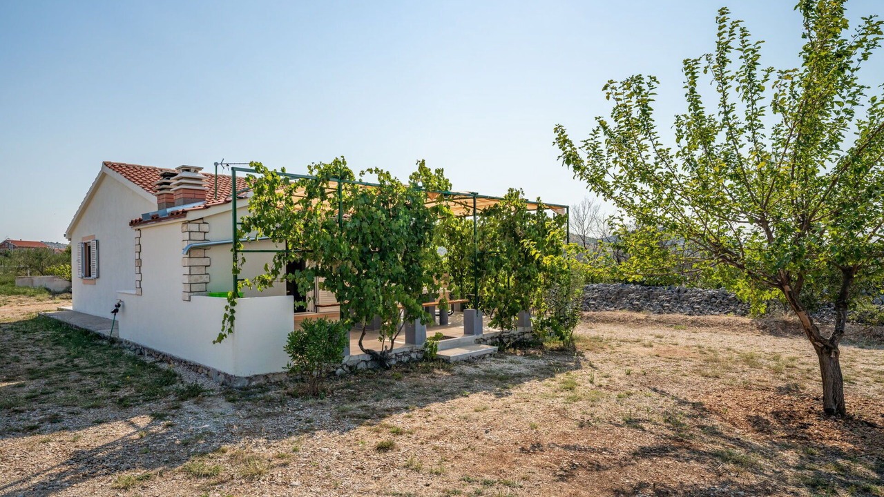 Photo of Others in Zaton