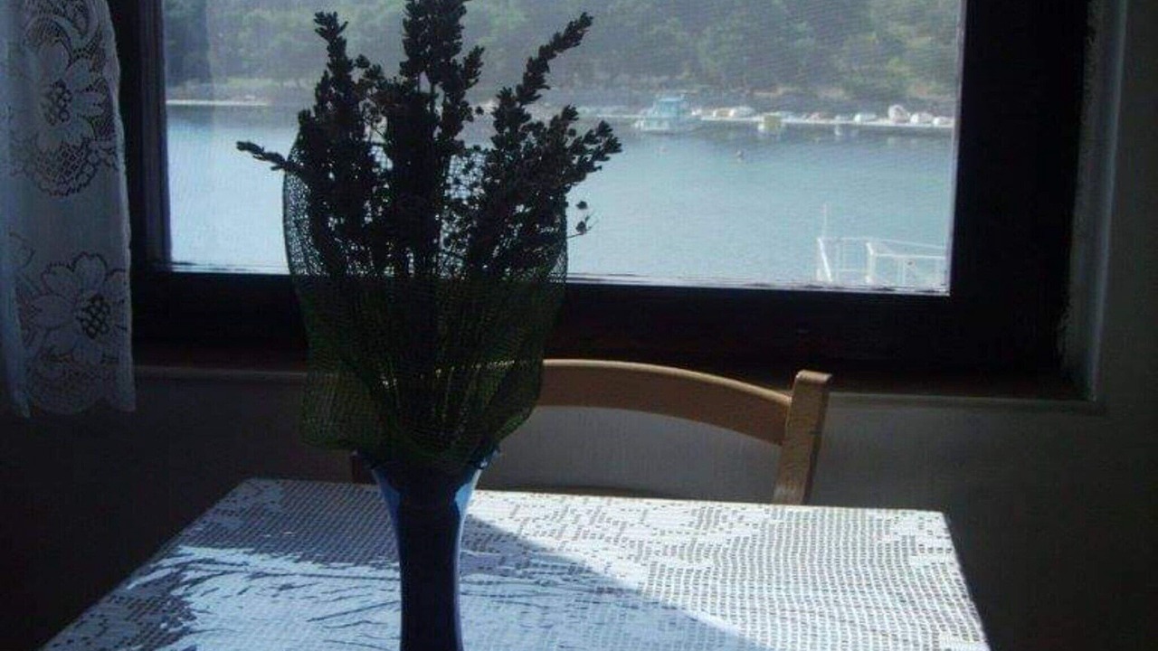 Photo of Others in Prvic Luka