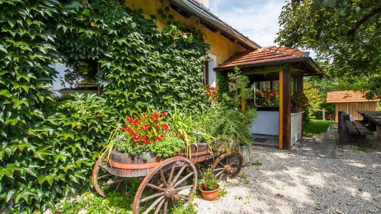 Photo of Outdoor in Brezice