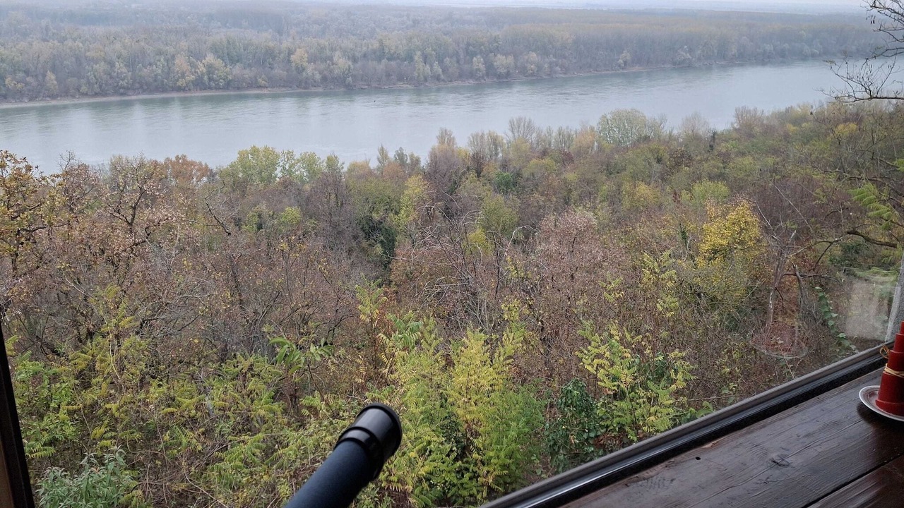 Photo of Outdoor in Erdut