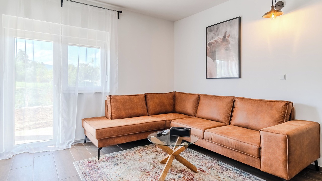 Photo of Livingroom in Irinovac