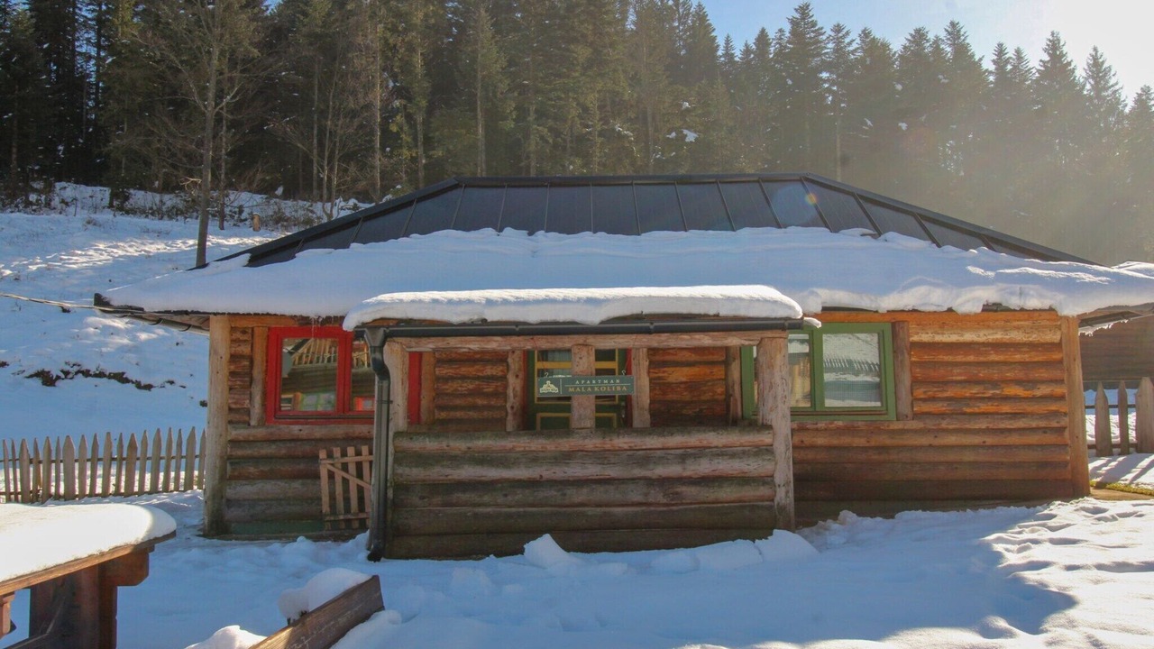 Photo of Outdoor in Pale