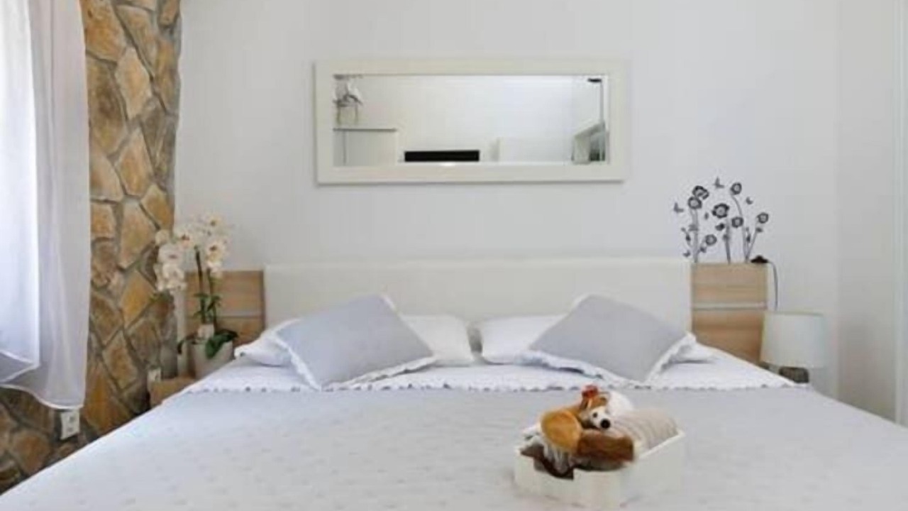Photo of Others in Drnis