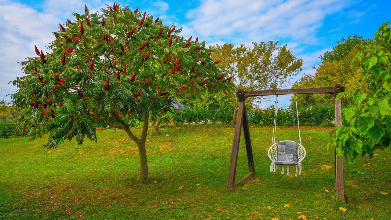 Photo of Outdoor in Krizevci