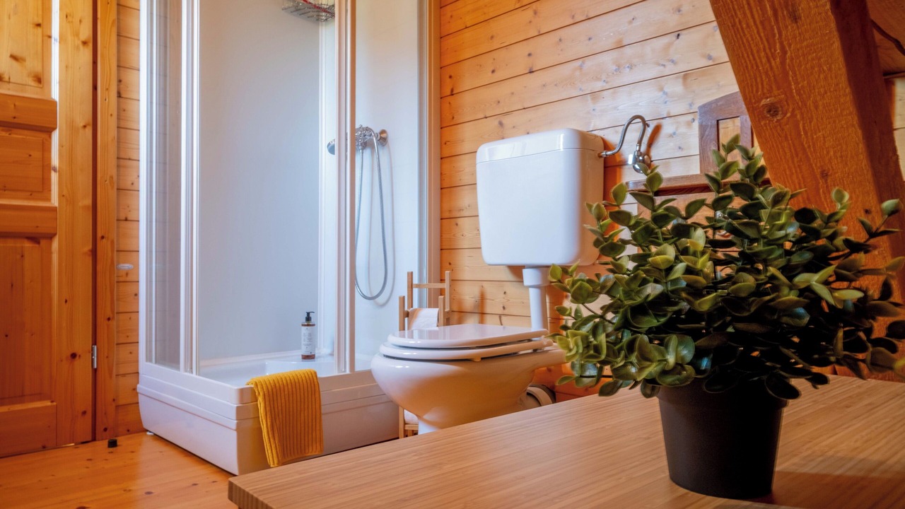 Photo of Bathroom in Studor v Bohinju