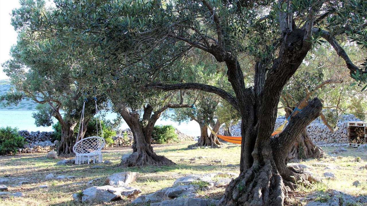 Photo of Outdoor in Kornati
