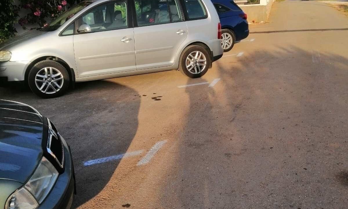 Photo of Others in Seline