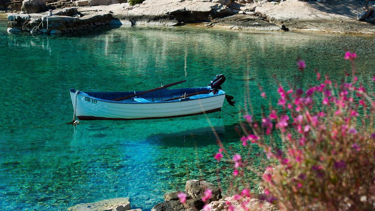 Photo of Others in Cove Osibova (Milna)