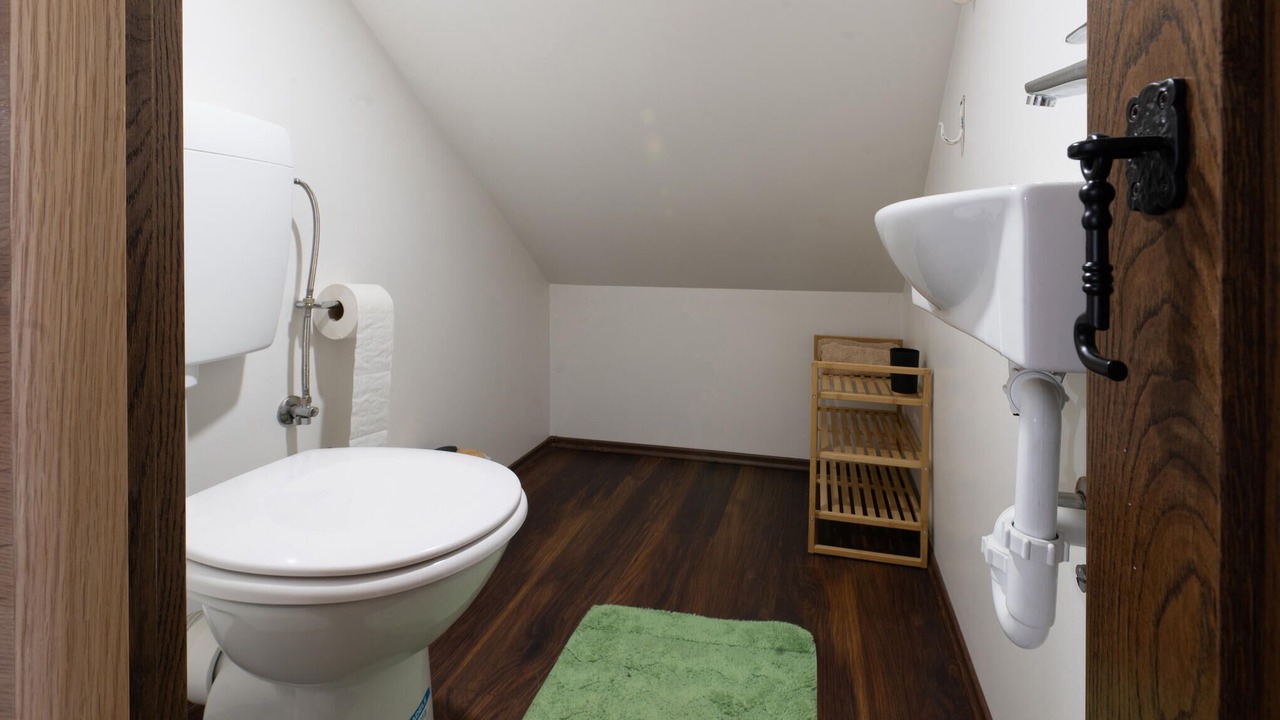 Photo of Bathroom in Ribnik