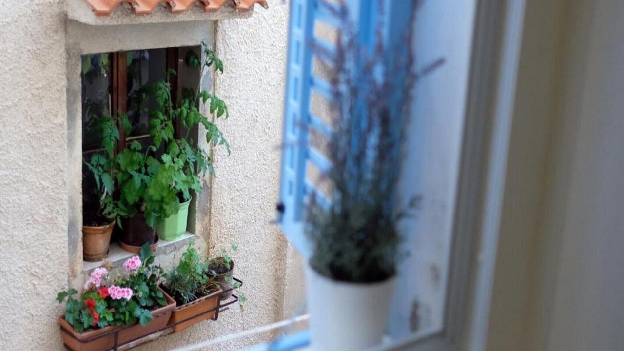 Photo of Outdoor in Cres