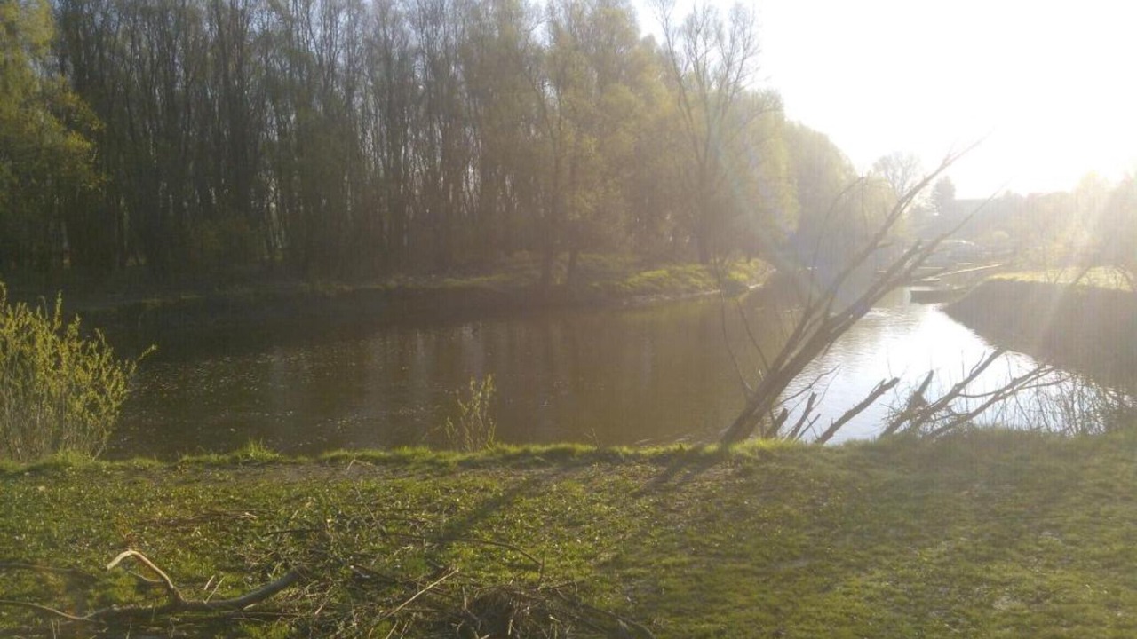 Photo of Outdoor in Aljmas