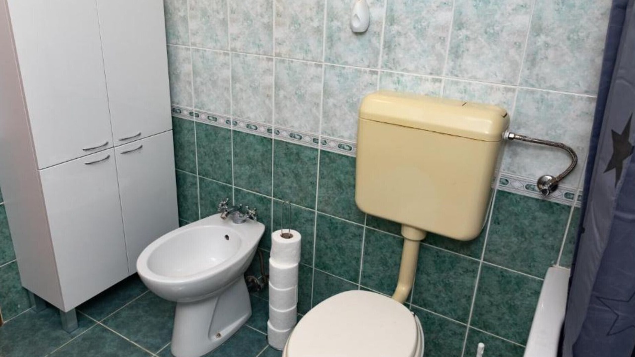 Photo of Bathroom in Svajcarnica