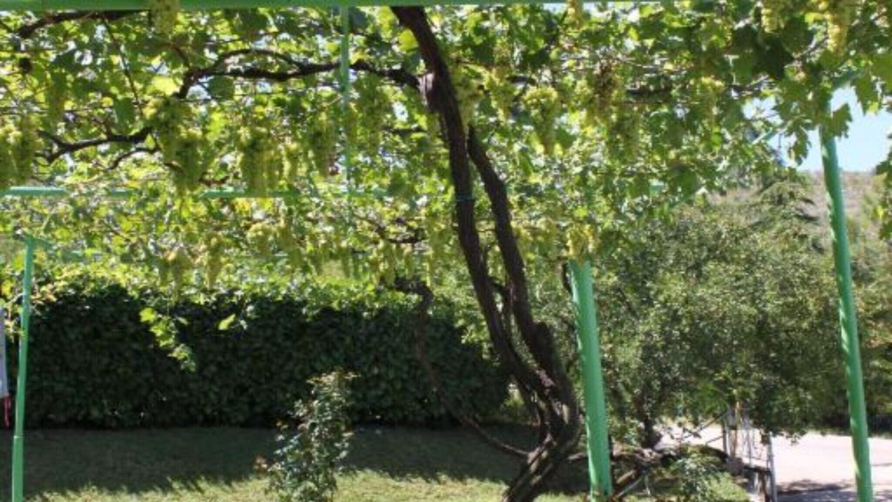 Photo of Outdoor in Medjugorje