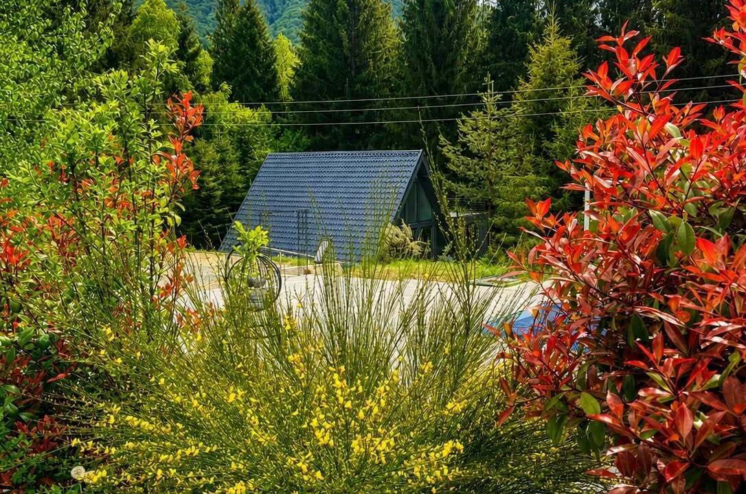 Photo of Outdoor in Zavoi